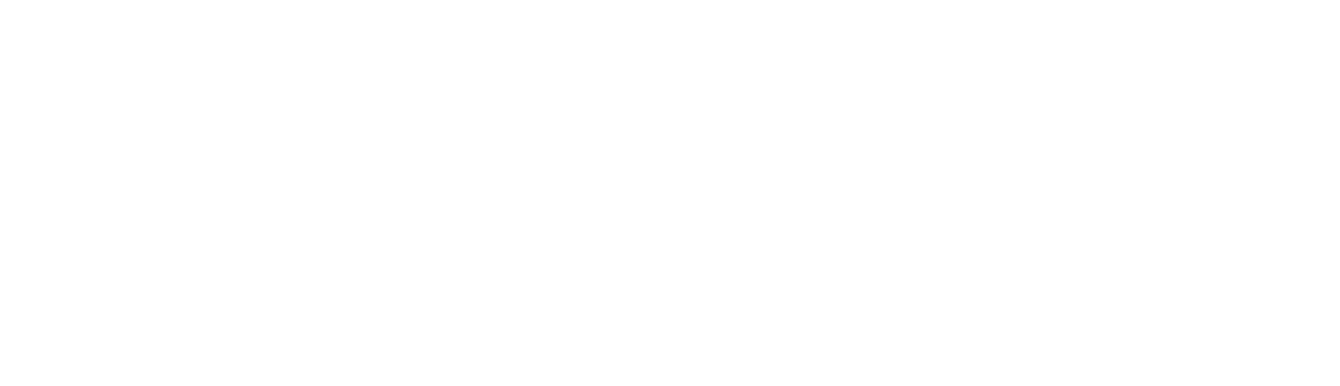 NEIDE BARROS V2